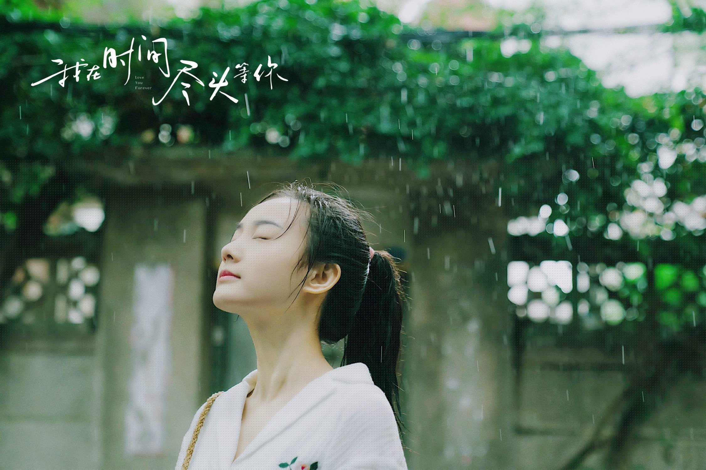 “运动舞蹈:舞者在金牛区城北体育馆将如何将力量与美学完美结合?”