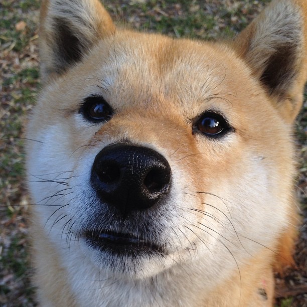 中超联赛中国队战平 球迷呼吁加强防守，中超球队最新新闻