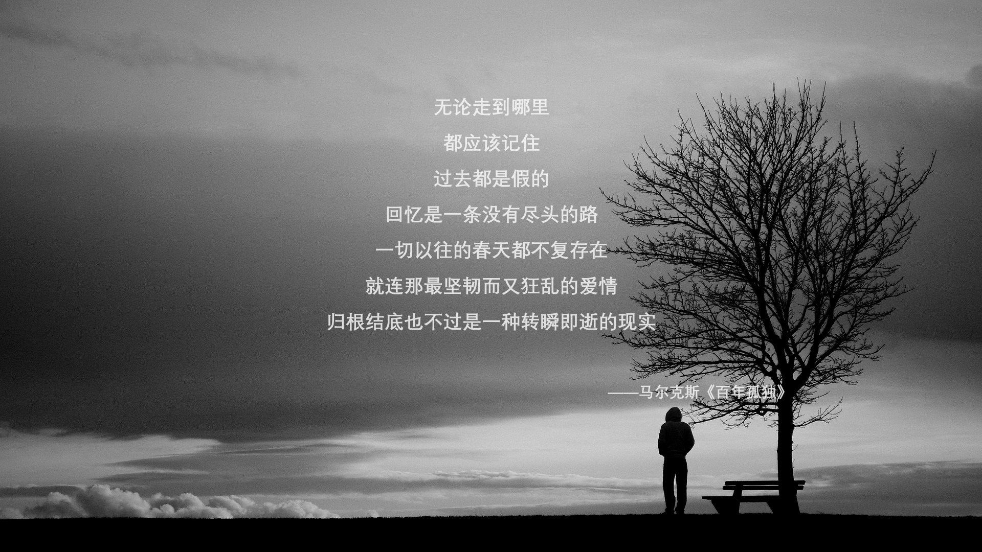 体育志愿者表彰大会举行 讲述幕后故事，体育展示志愿者