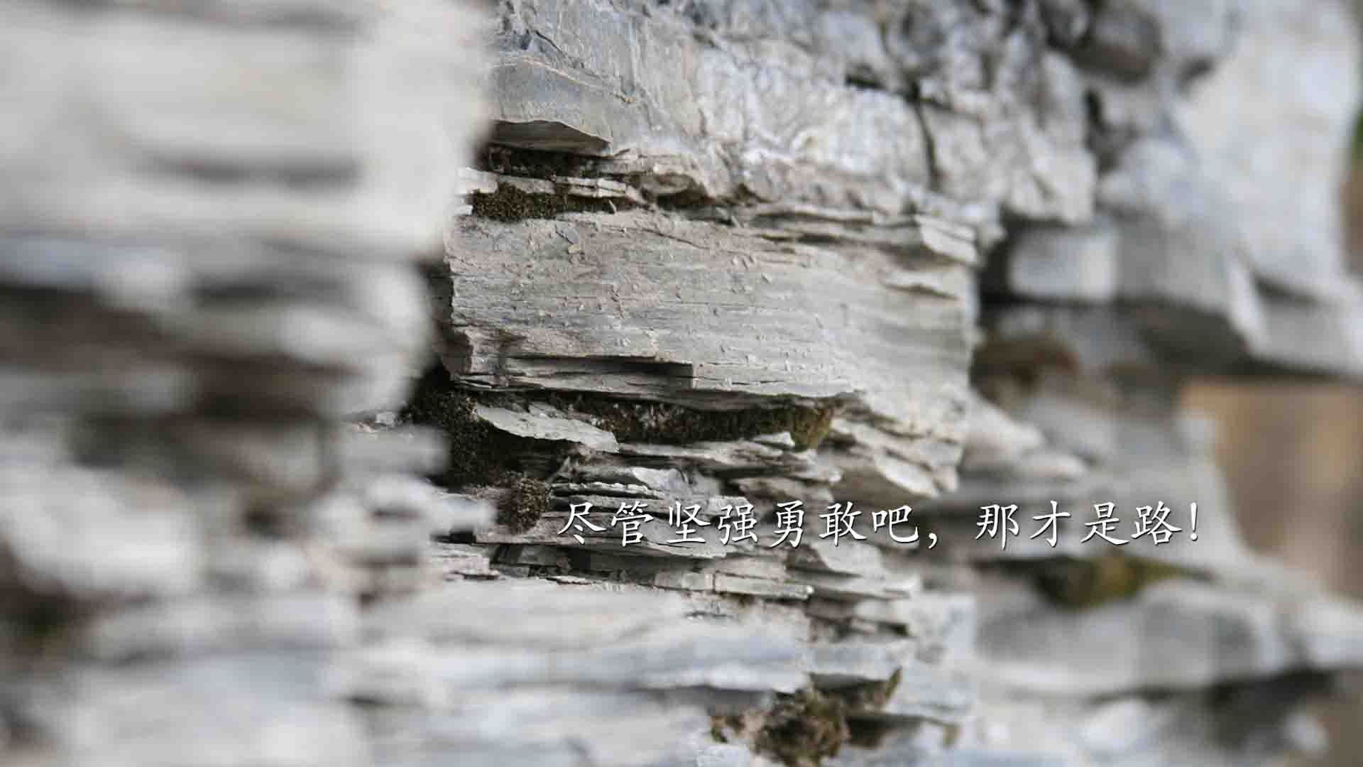 乐鱼体育app下载地址-世界杯比赛中的VAR争议案例，世界杯预选赛var